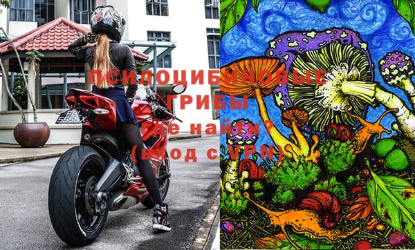 гашик Армянск