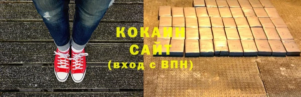 прущие грибы Балабаново