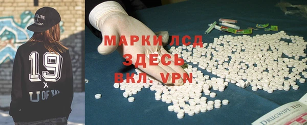 прущие грибы Балабаново